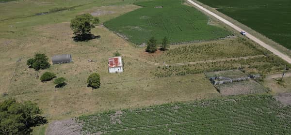 EN EXCLUSIVIDAD 125,9 hectáreas. Agrícola Ganadero en Soriano Ref: 12403
